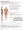 Posture Assessment Intake Form